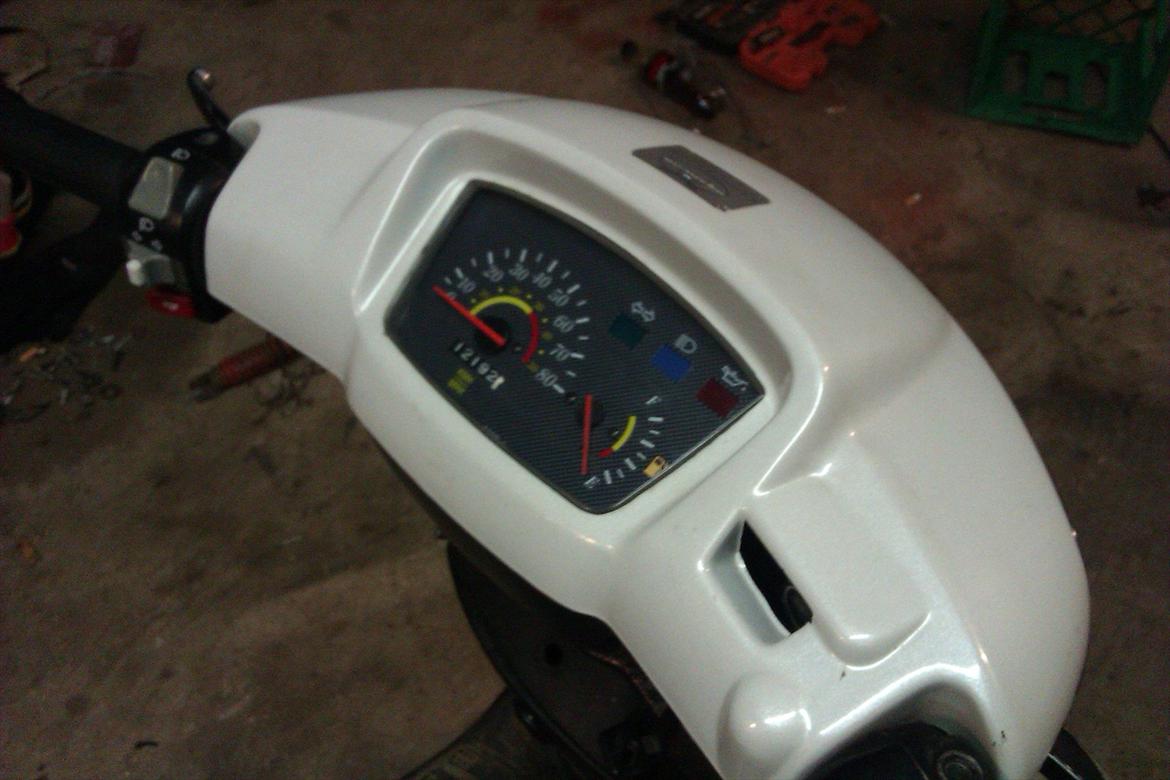 Adly Silverfox billede 1