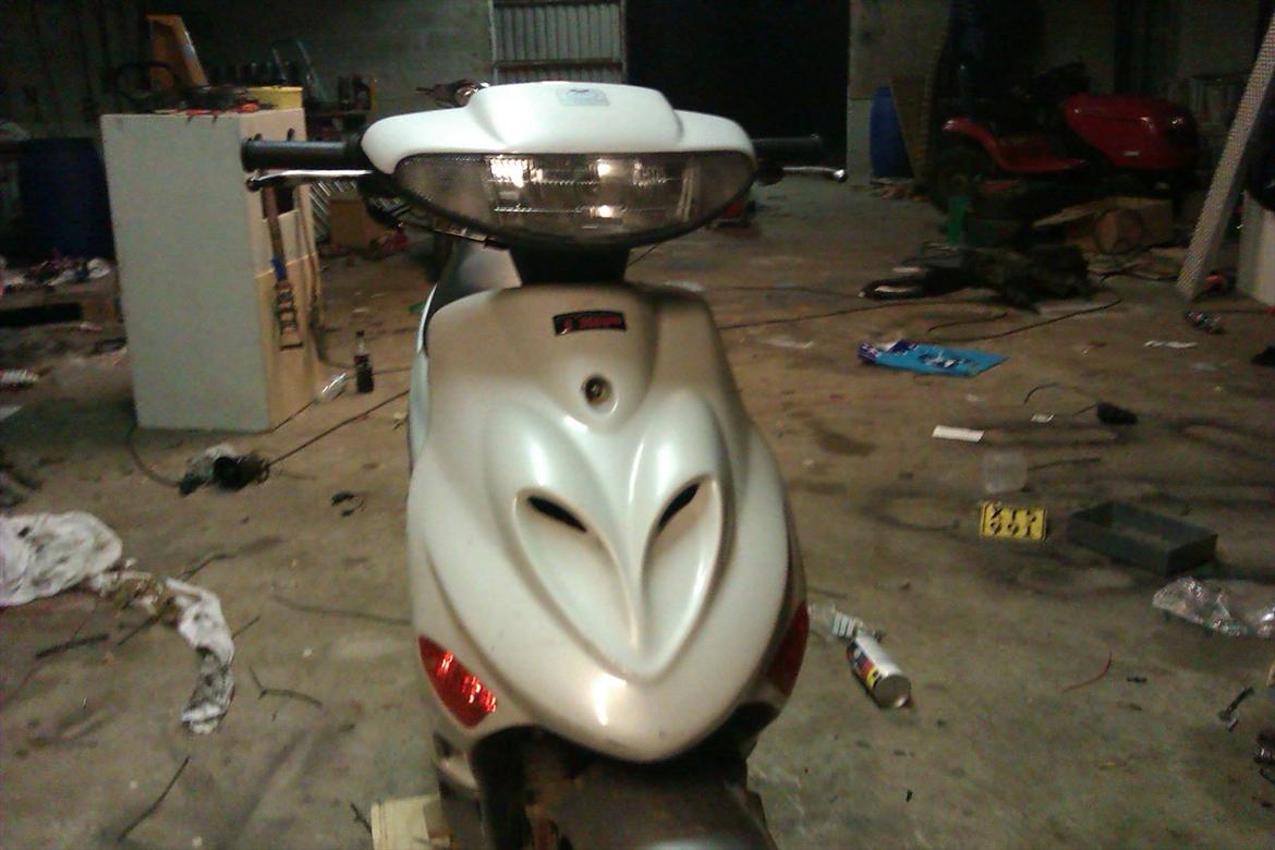 Adly Silverfox billede 2