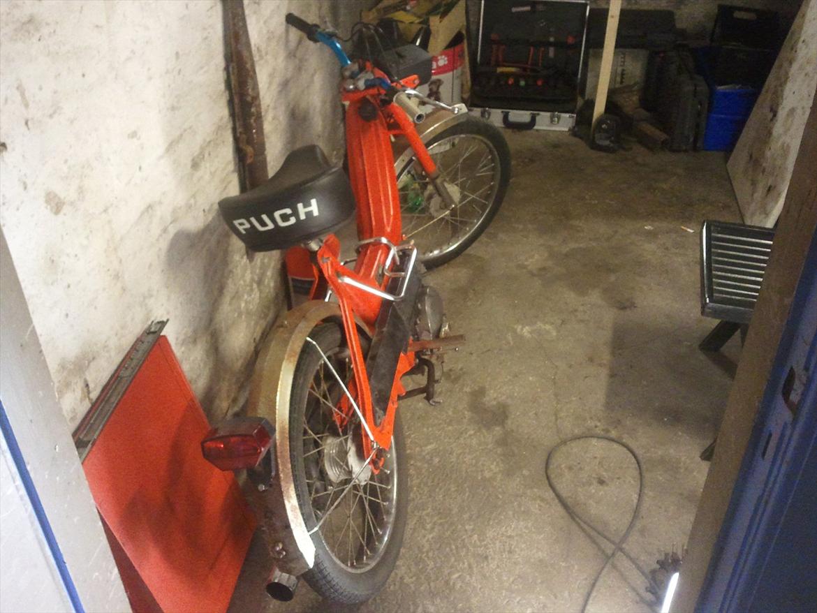 Puch Maxi billede 9