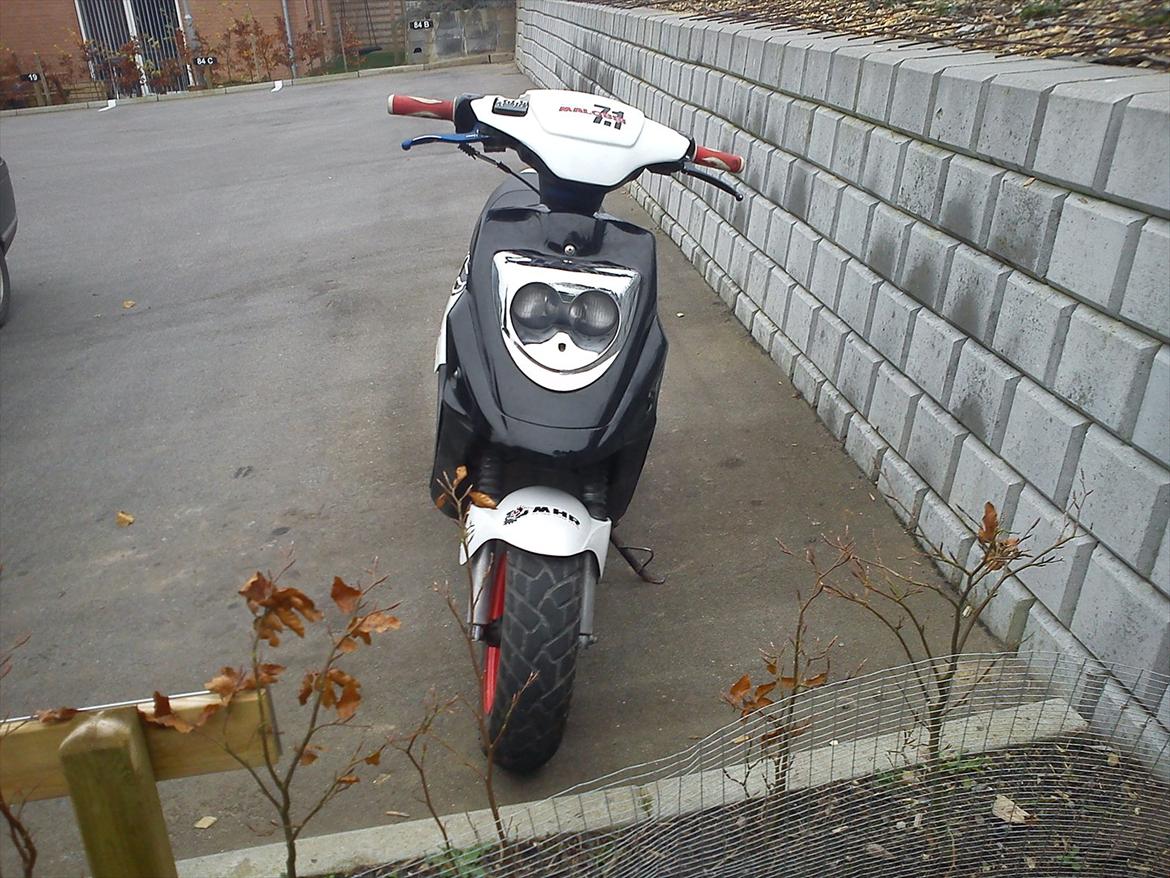 PGO Hot 50 billede 3