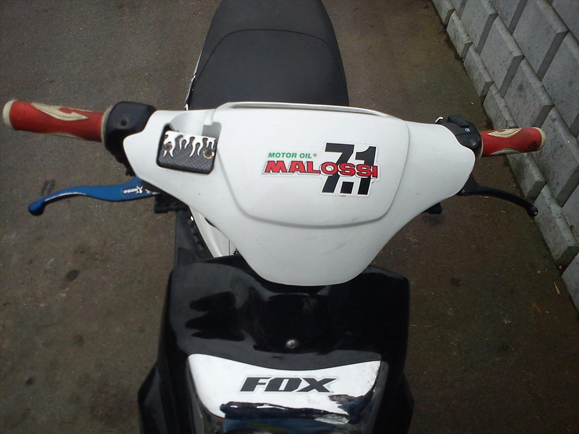 PGO Hot 50 billede 7