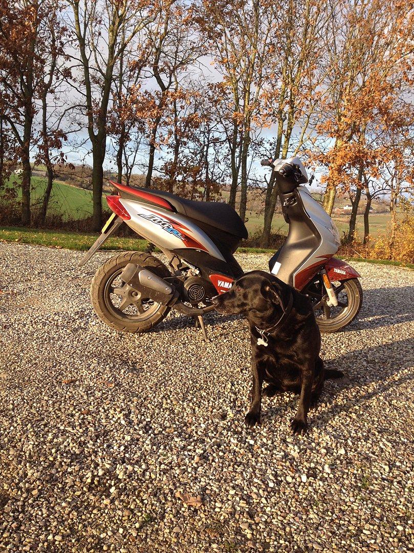 Yamaha Jog R (2011) billede 4