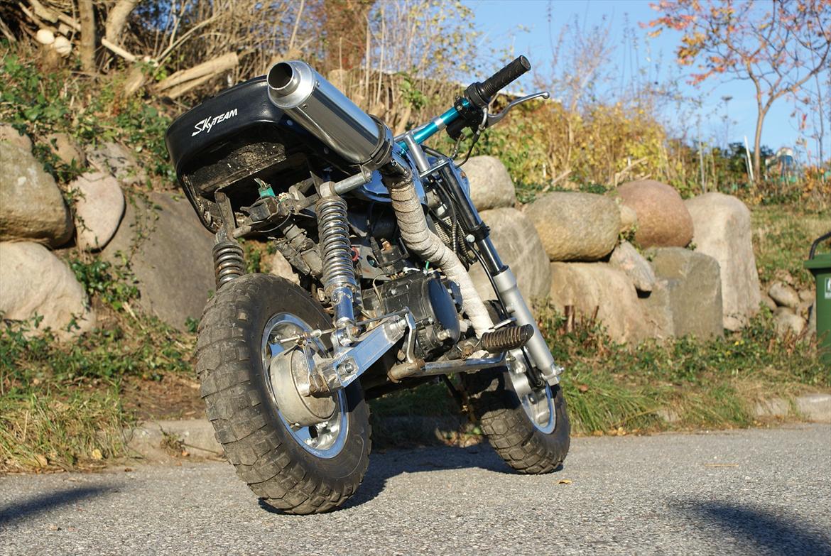 Skyteam monkey billede 1