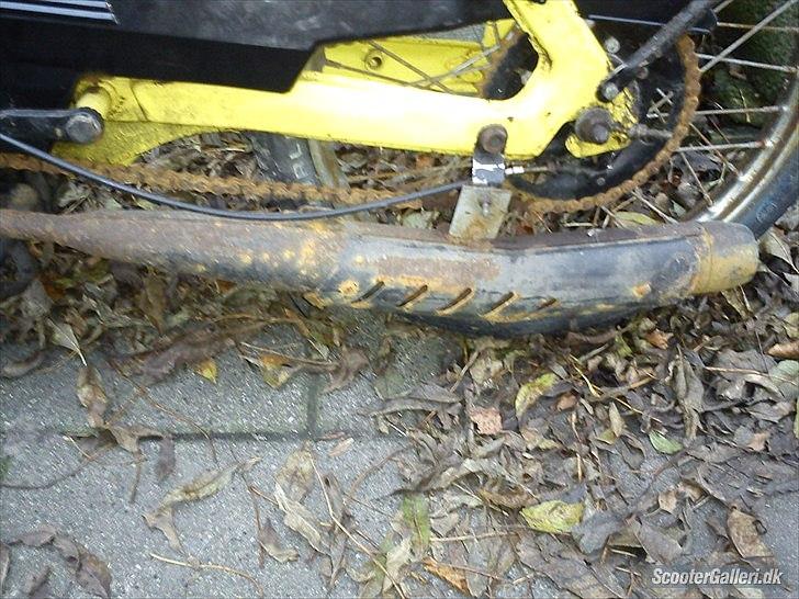 Puch Maxi K billede 5