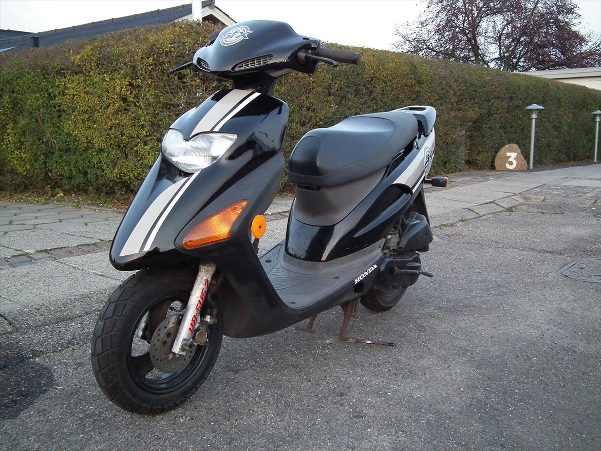 Honda Sfx Sægles billede 1