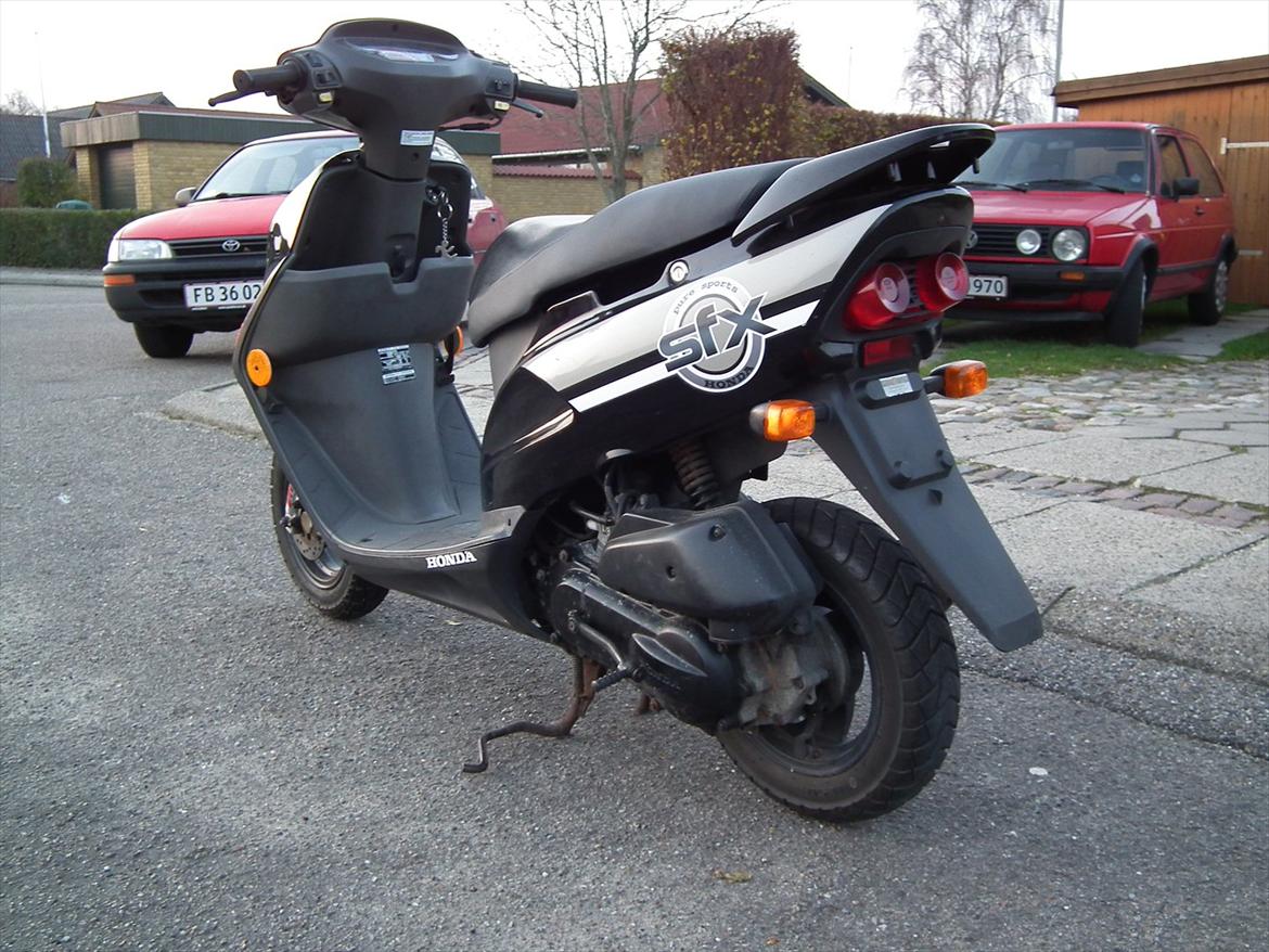 Honda Sfx Sægles billede 2