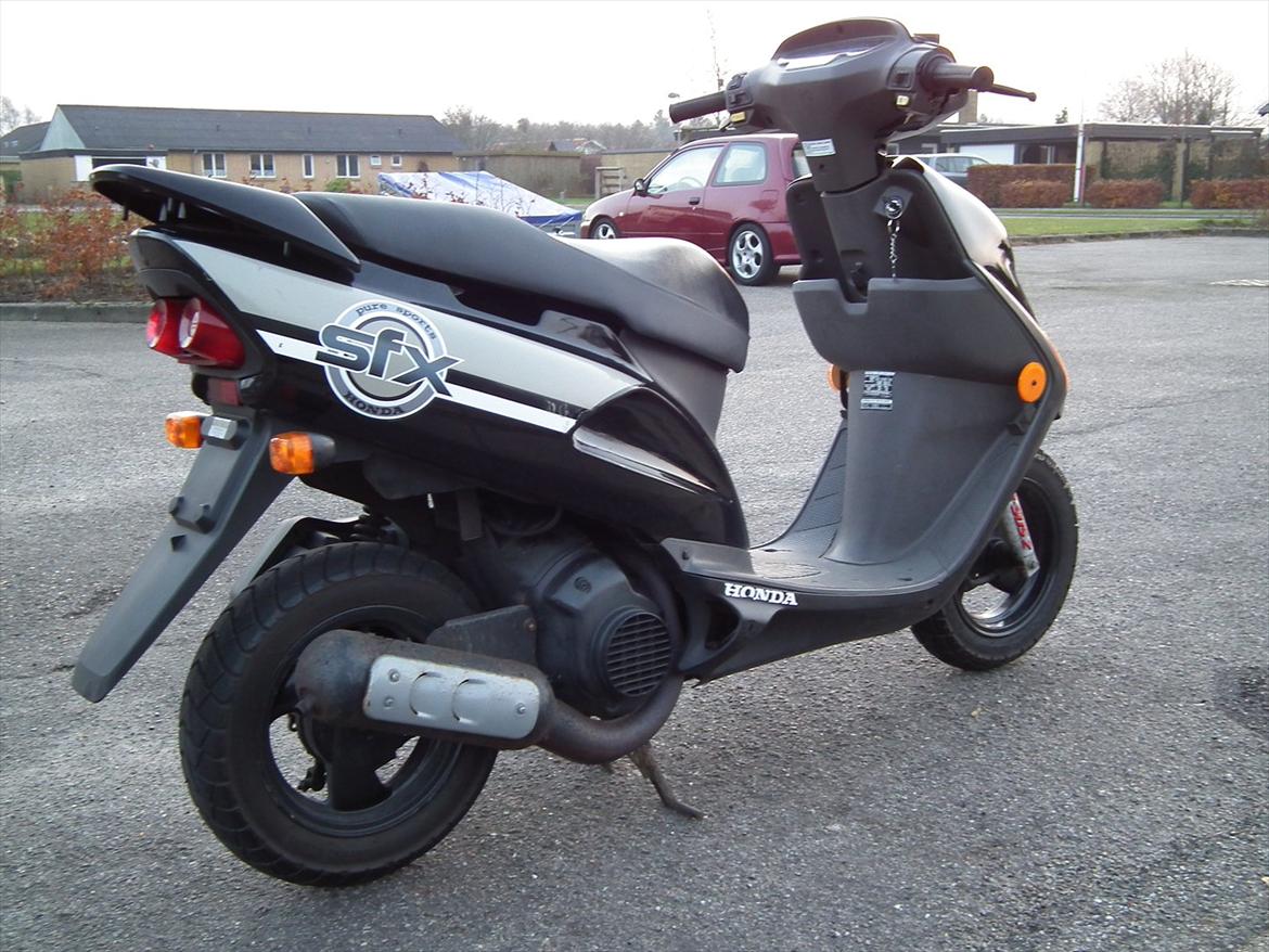 Honda Sfx Sægles billede 3