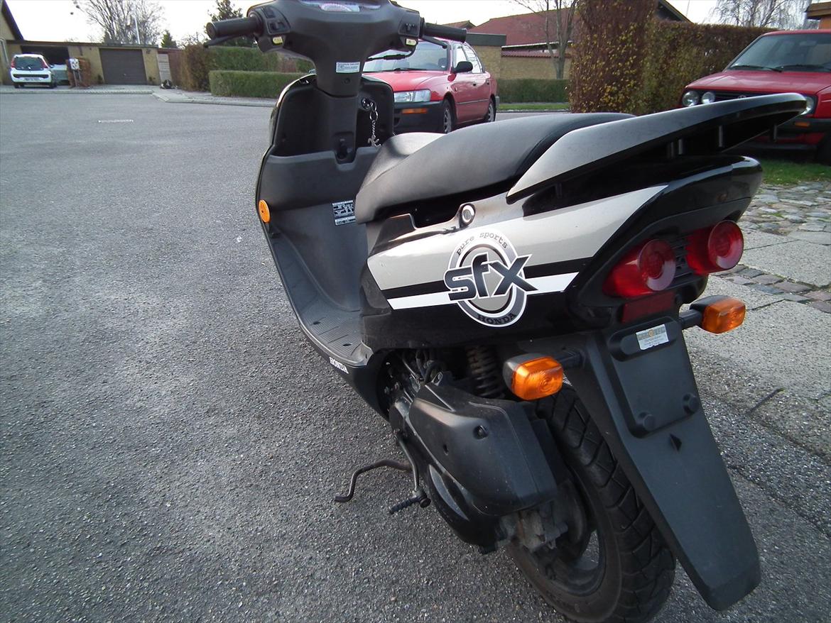 Honda Sfx Sægles billede 6