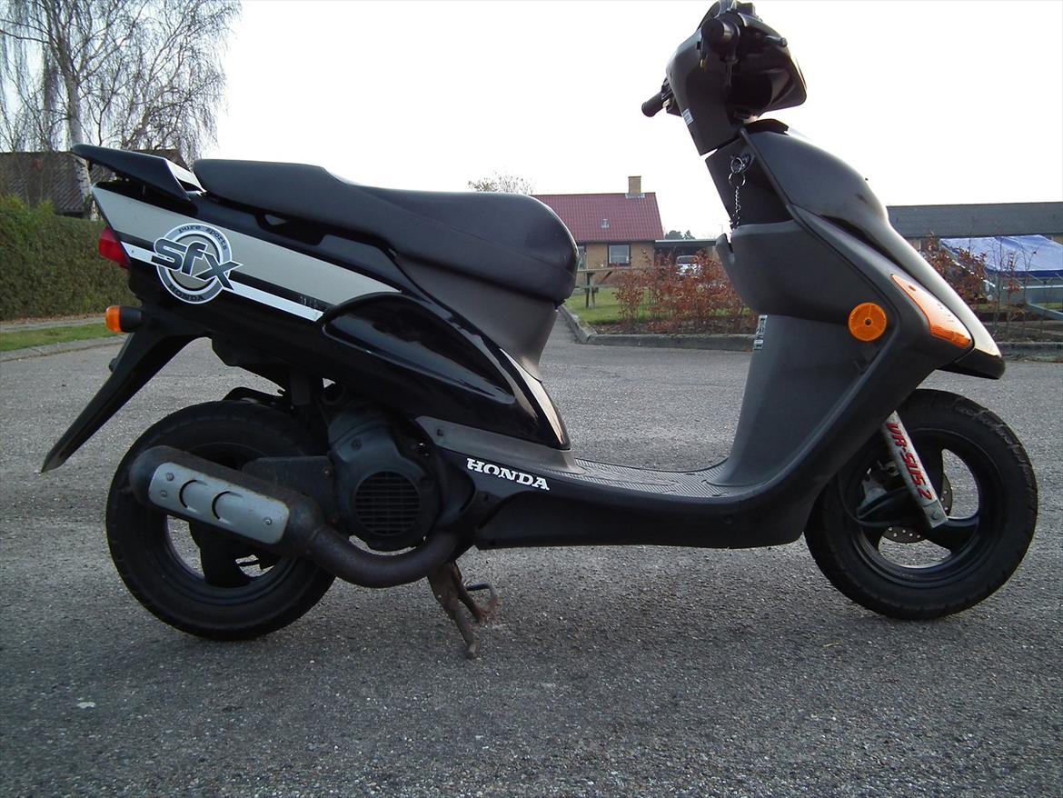 Honda Sfx Sægles billede 9