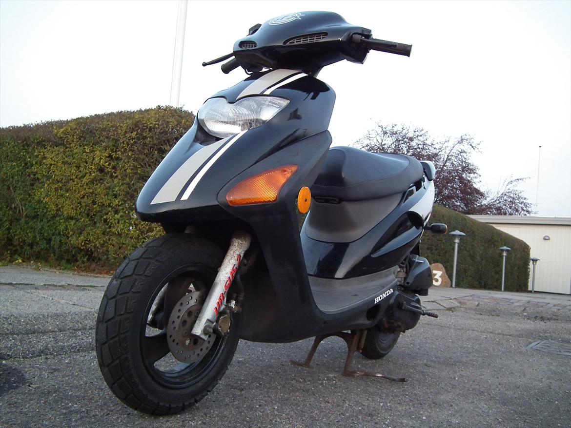 Honda Sfx Sægles billede 10