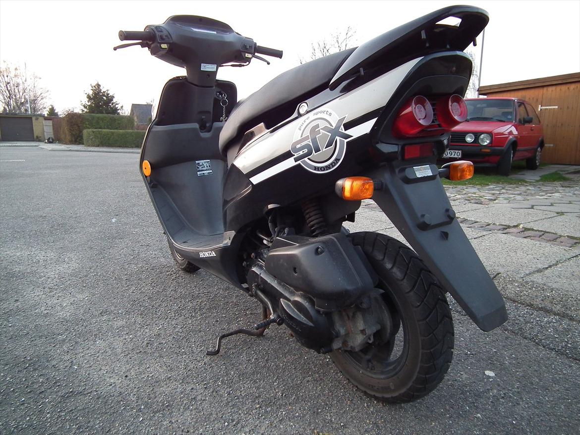 Honda Sfx Sægles billede 13