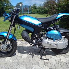 Suzuki Street Magic