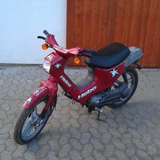 Honda wallaroo