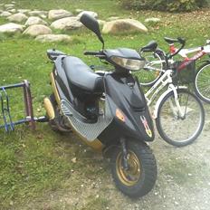 Kreidler Easy Rider Standard Moto