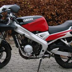 Yamaha TZR