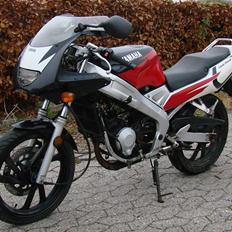 Yamaha TZR