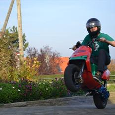 Gilera stalker