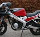 Yamaha TZR