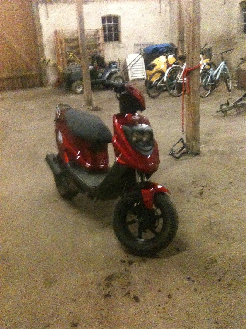 PGO Hot 50 (solgt) billede 5