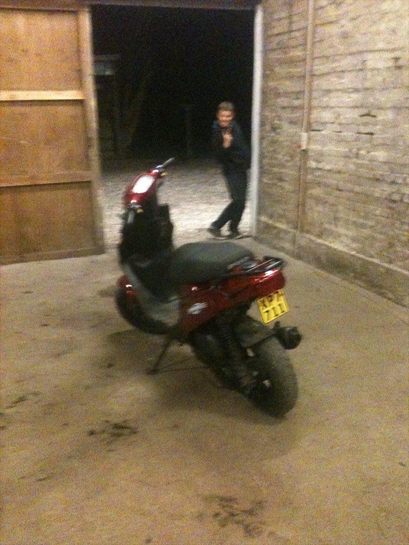 PGO Hot 50 (solgt) billede 7