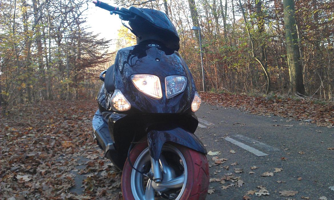 PGO DR. Big Tuning/styling's procekt før billede 11