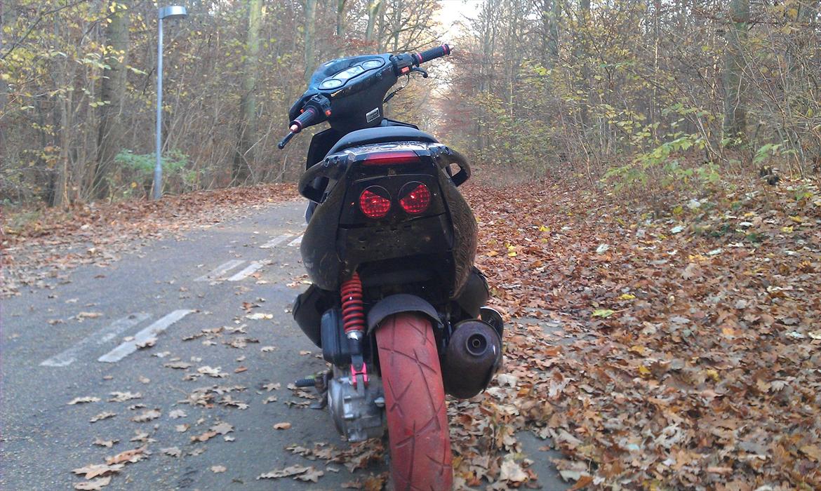 PGO DR. Big Tuning/styling's procekt før billede 12