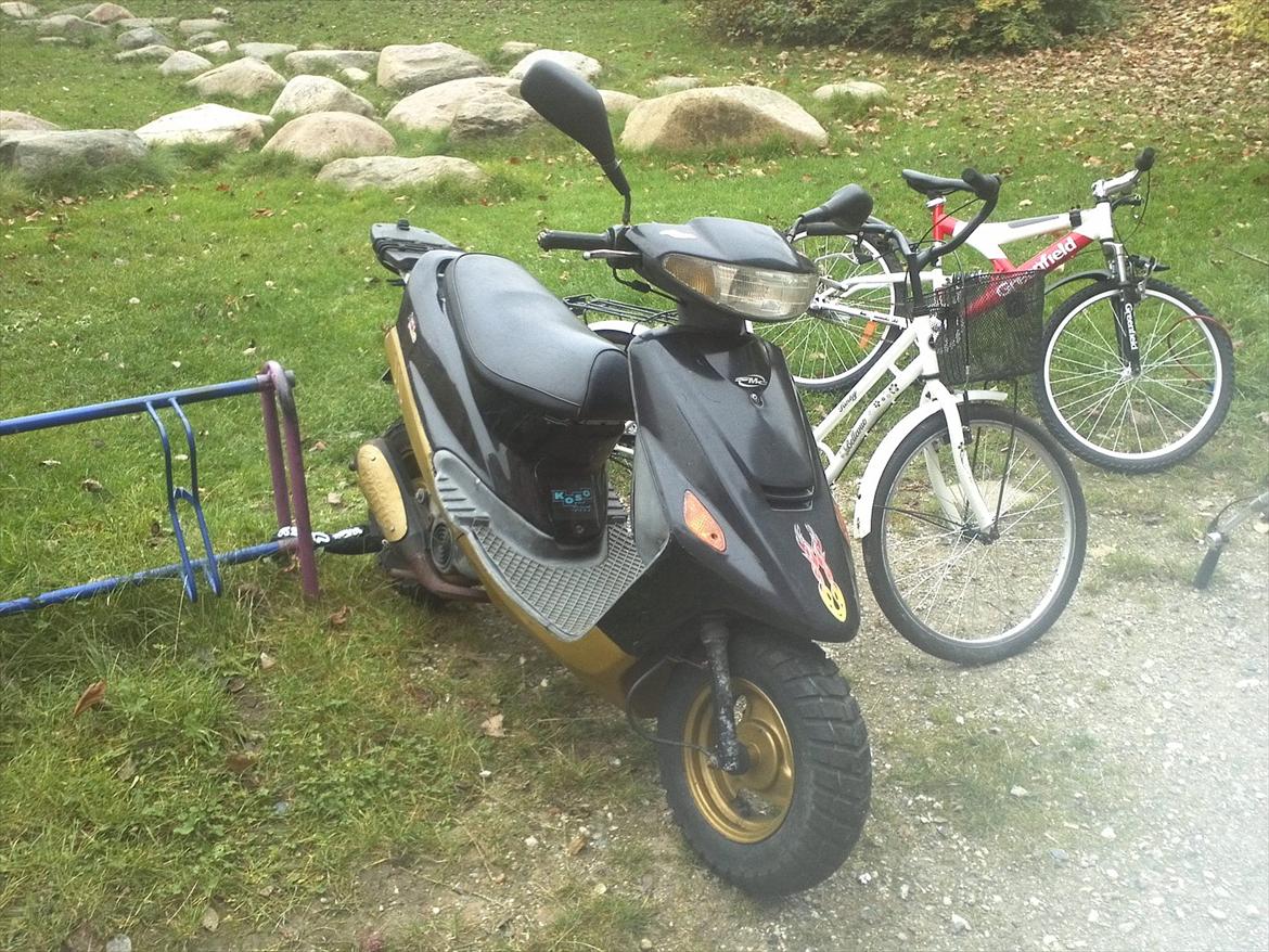 Kreidler Easy Rider Standard Moto billede 1