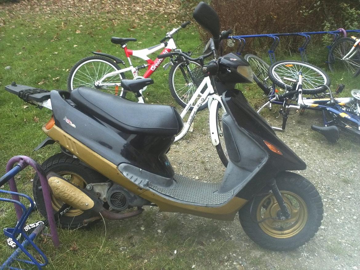 Kreidler Easy Rider Standard Moto billede 6