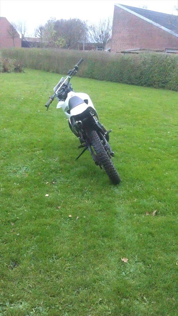 Gilera Rcr/senda billede 4