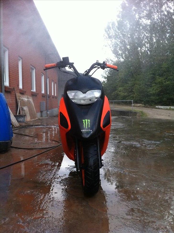 Honda SFX billede 10