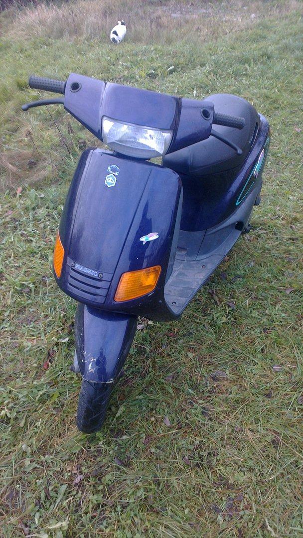 Piaggio gl zip 45 billede 2