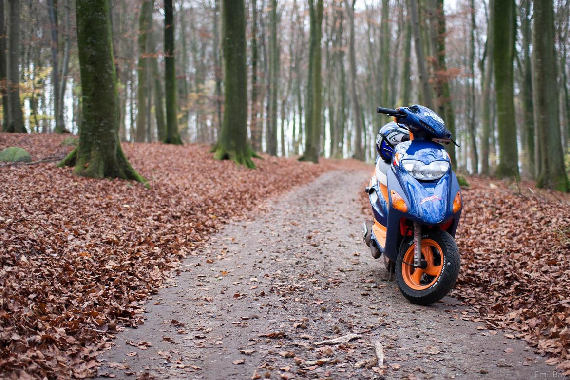 Honda SFX Repsol   STJÅLET billede 1