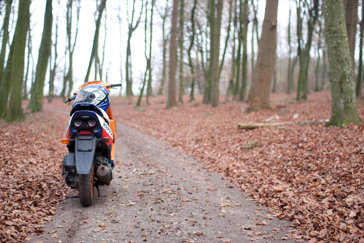 Honda SFX Repsol   STJÅLET billede 3