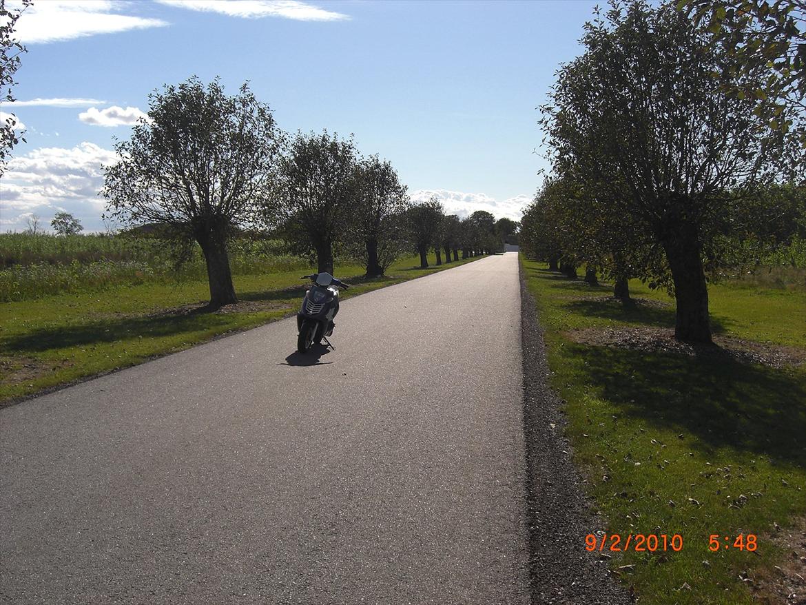 Aprilia Sonic billede 10