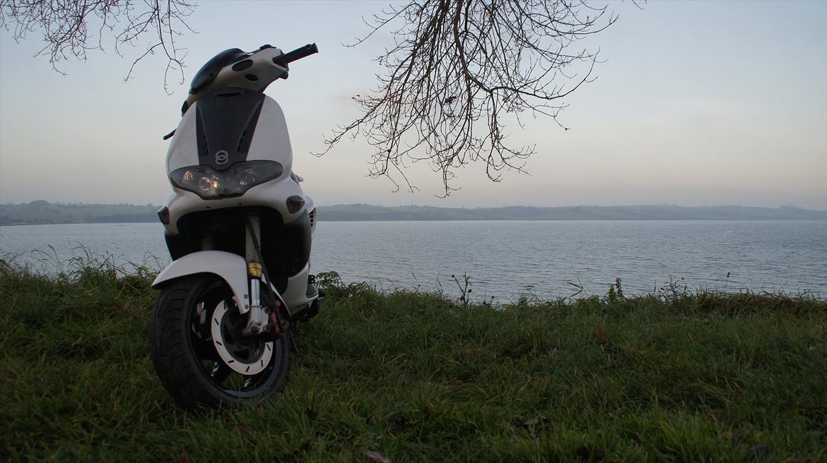 Gilera Runner AC DD billede 1