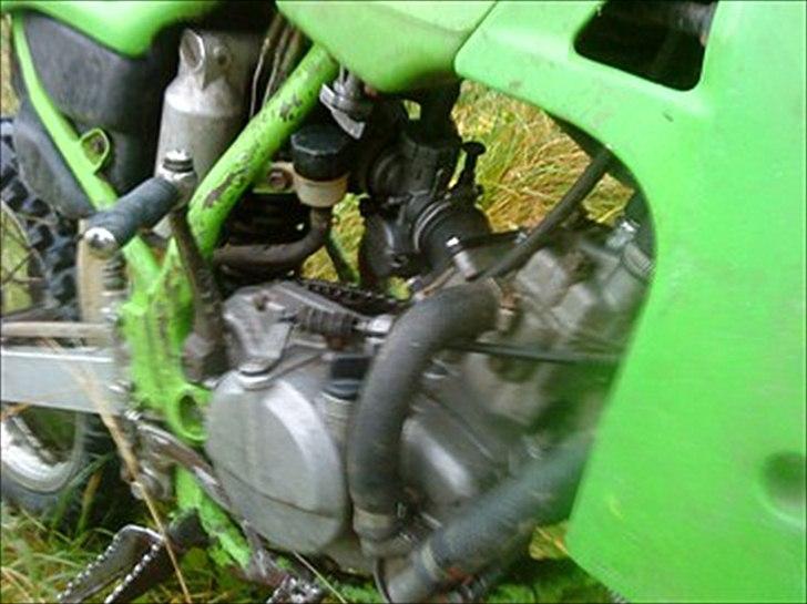 Kawasaki KX 80  billede 5