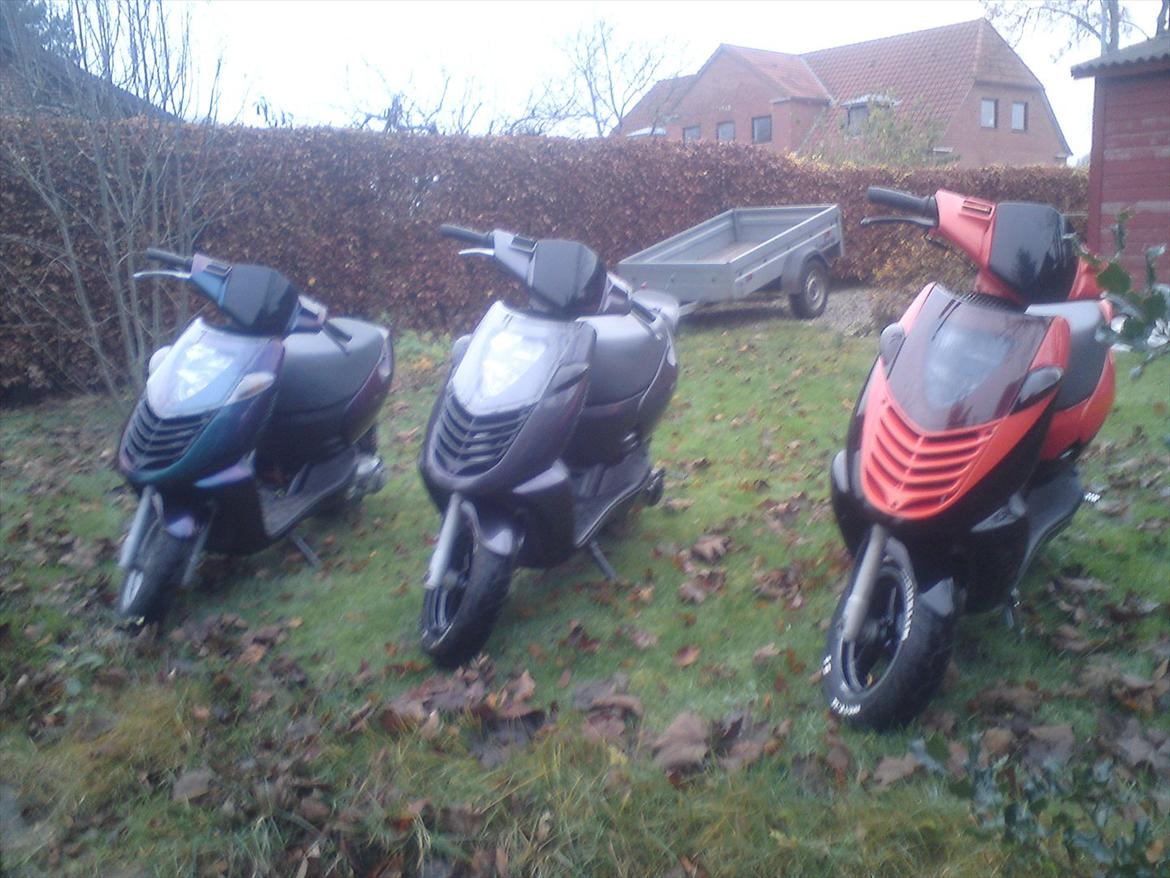 Aprilia Sonic GP. SOLGT. - mine tre baby'er! :D billede 8