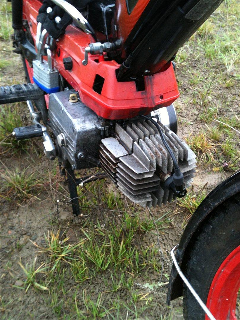 Puch Maxi 2 Gear ''Lone'' billede 4