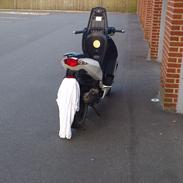 Peugeot speed fight s3