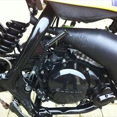 Suzuki Smx