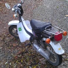 Suzuki Fz50