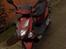 PGO T-Rex