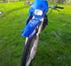 Suzuki rmx 