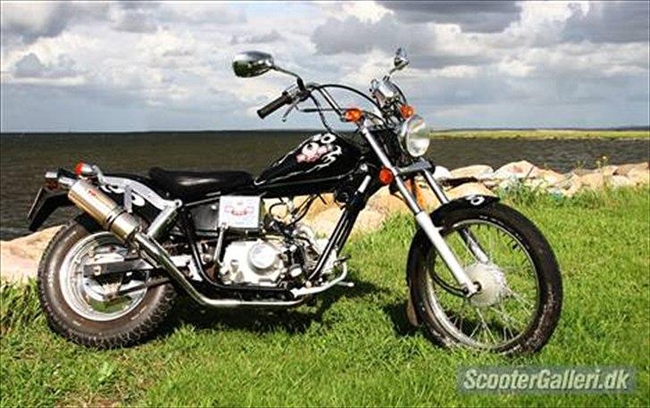 Regal raptor dd50 qe - 3 (70cc) billede 15