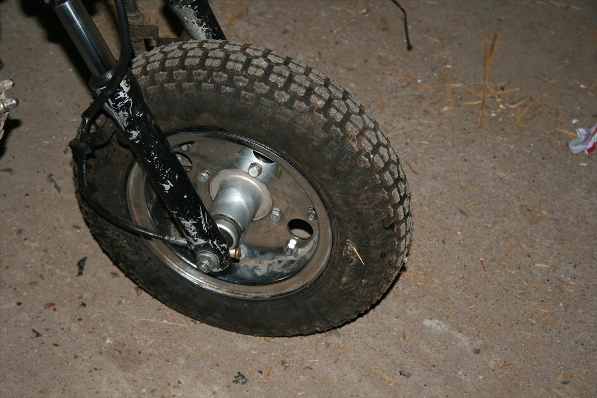 Baotian monkey billede 6