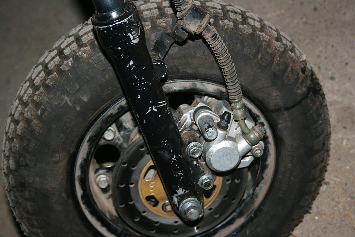 Baotian monkey billede 9