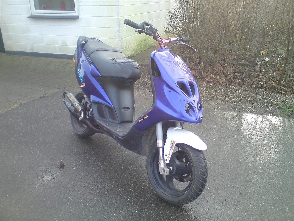 Piaggio Nrg Mc3 Evo2 billede 2