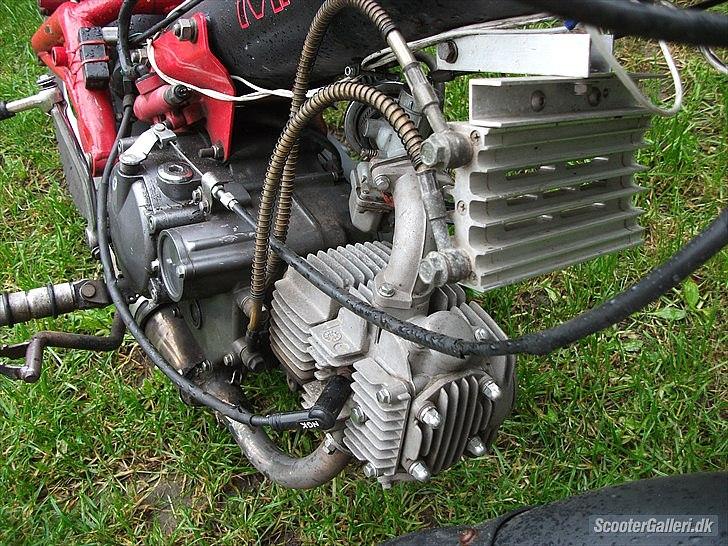 Sachs madass billede 6