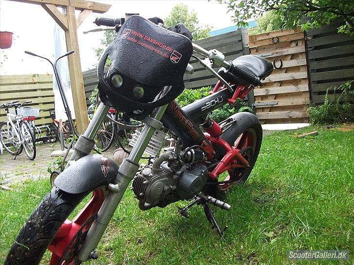 Sachs madass billede 7