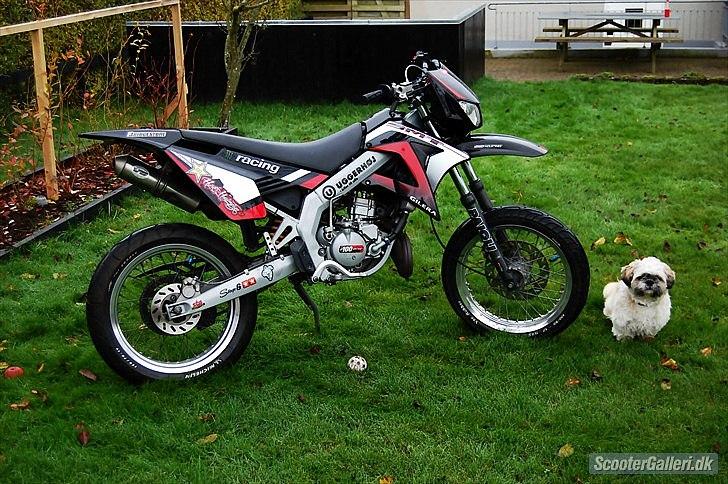Gilera SMT (Tidligere knallert) billede 5